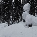 Natural Snow Sculptures
 /  